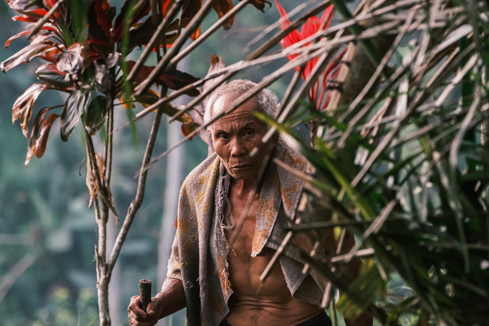 Maisons traditionnelles et rizières de Muang Ngoi